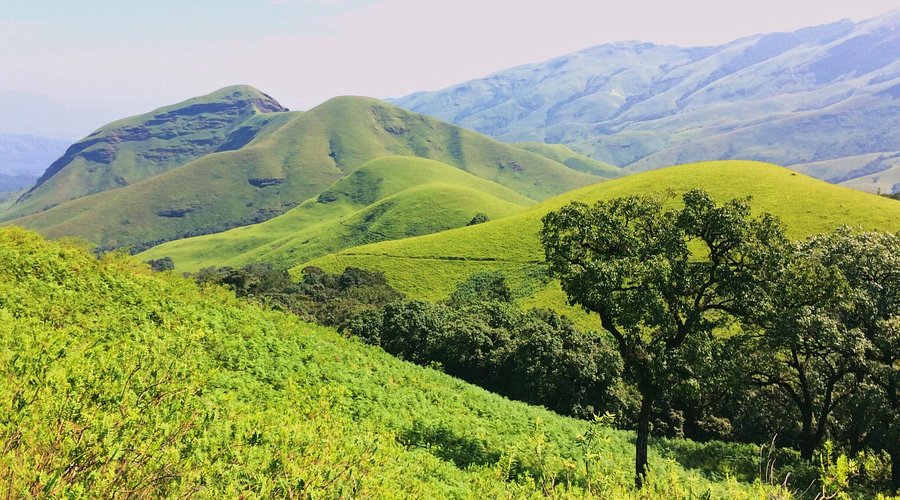 Top Hill Stations to Visit Near Mangalore - Sayara Tours and Travels